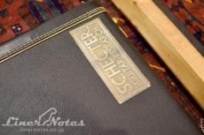 SCHECTER Platinum Wood Series PW-EX-B-BL (Natural)_11