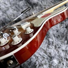 Squier Paranormal Troublemaker Telecaster Deluxe Bigsby, Parchment Pickguard, Honey Sunburst_10