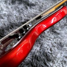 Bacchus BJB-1-RSM/R-BPPG CAR -Univers Series- 【特価】_10