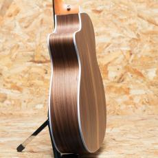 Taylor 214ce Walnut_5