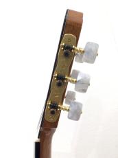 ASTURIAS TSUJI S-CW-C_10