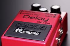 BOSS DM-2W Delay_4