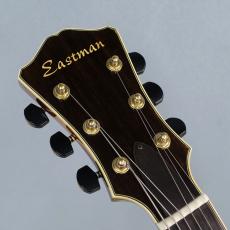 Eastman AR-805CE / Sunburst【USED FES】_3