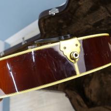 Eastman AR-805CE / Sunburst【USED FES】_9