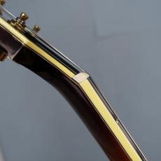 Eastman AR-805CE / Sunburst【USED FES】_11