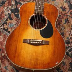 Eastman Traveler PCH2-TG / CLA【トップ単板】 【トラベルサイズ】 【特価】