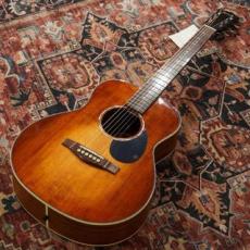 Eastman Traveler PCH2-TG / CLA【トップ単板】 【トラベルサイズ】 【特価】_3