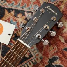 Eastman Traveler PCH2-TG / CLA【トップ単板】 【トラベルサイズ】 【特価】_4