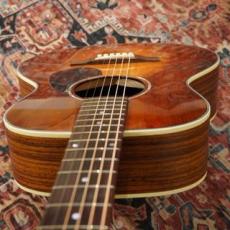 Eastman Traveler PCH2-TG / CLA【トップ単板】 【トラベルサイズ】 【特価】_7