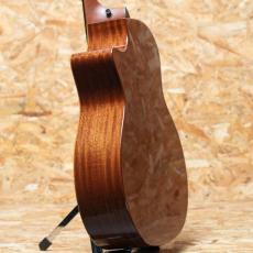 Taylor 314ce Studio Shaded Edgeburst_5