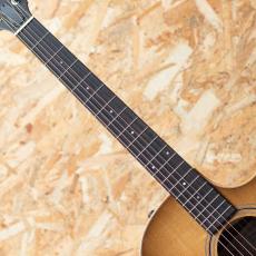 Taylor 314ce Studio Shaded Edgeburst_6