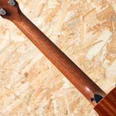 Taylor 314ce Studio Shaded Edgeburst_7
