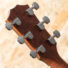 Taylor 314ce Studio Shaded Edgeburst_9