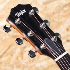 Taylor 314ce Studio Natural_8
