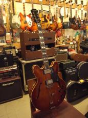 Epiphone RIVIERA (1981)_10