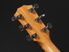 Taylor 117e LTD Blacktop_8