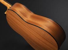 Taylor 117e LTD Blacktop_11