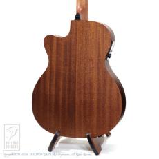 LAG Guitars HV10ACE_4