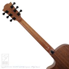 LAG Guitars HV10ACE_7