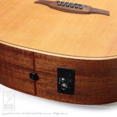 LAG Guitars HV10ACE_15
