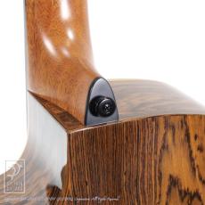 LAG Guitars HV30ACE_14