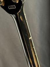 Greco EGC500_10