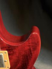 Gibson Les Paul Studio 100th Anniversary _6
