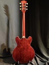 Seventy Seven Guitars EXRUBATO-STD/S-JT_6