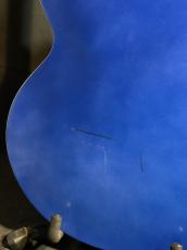 Epiphone Riviera Custom P93_5