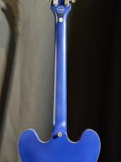Epiphone Riviera Custom P93_7