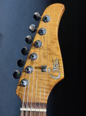 MOOER GTRS P801_4