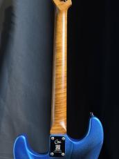 MOOER GTRS P801_7