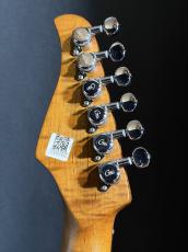 MOOER GTRS P801_8