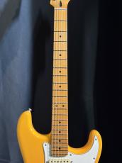 Fender Player Plus Stratocaster_3