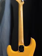 Fender Player Plus Stratocaster_7