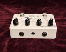 ACLAM GUITARS Dr. Robert_4