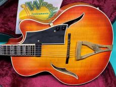 MICHAEL LEWIS  FULL ACOUSTIC ELECTRIC GUITAR_2