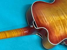 MICHAEL LEWIS  FULL ACOUSTIC ELECTRIC GUITAR_9