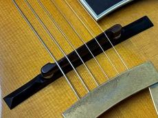 MICHAEL LEWIS  FULL ACOUSTIC ELECTRIC GUITAR_10