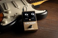 strymon CANOGA《FF系ファズ》【オンラインストア限定】_5