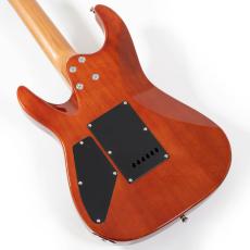 Sfida SST-900 BRB -Brown Burst-【オンラインストア限定】_4