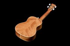 Cordoba 15C -Mallorcan Pearl-《コンサートウクレレ》【オンラインストア限定】_10