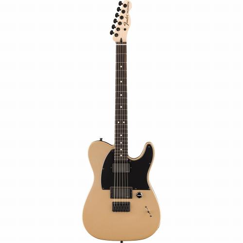 Fender Limited Edition Jim Root Telecaster -Shoreline Gold-【ローン金利0%】