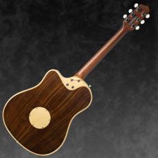 L.R.Baggs 【ローン金利0%!!】AEG-1 TOR(トリファイド・シトカ・スプルース)【オンラインストア限定】_2