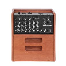 Acus Sound Engineering ONE FORSTRINGS 5 FERDI《アコースティックアンプ》【オンラインストア限定】_5