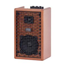 Acus Sound Engineering ONE FORSTRINGS 4 FERDI《アコースティックアンプ》【オンラインストア限定】_3