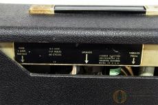 Fender Vibro Champ [SK262]_7