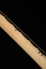 SCHECTER PS-ST-DH-SC -Black- #S2505190 【スキャロップ指板】【限定生産モデル】_5