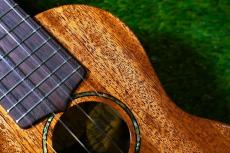tkitki ukulele AMS-ABALONE Soprano【S/N1559】_10