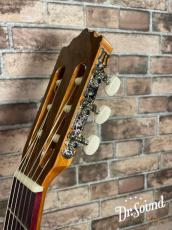 パコ・カスティージョ　Paco Castillo Model:211F　【スペシャル動画あり】_6